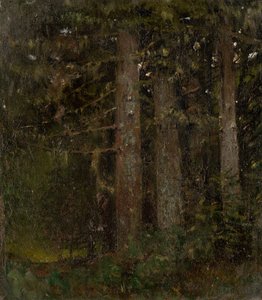 Inside the Forest II